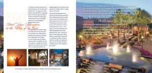 FIF_brochurepages_Page_1