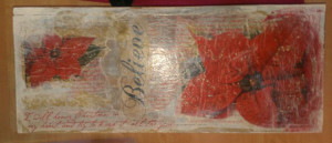IMAG0838-1