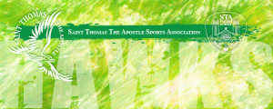 Website Banner Design