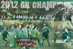 ltalarico_20x30_soccer_champs